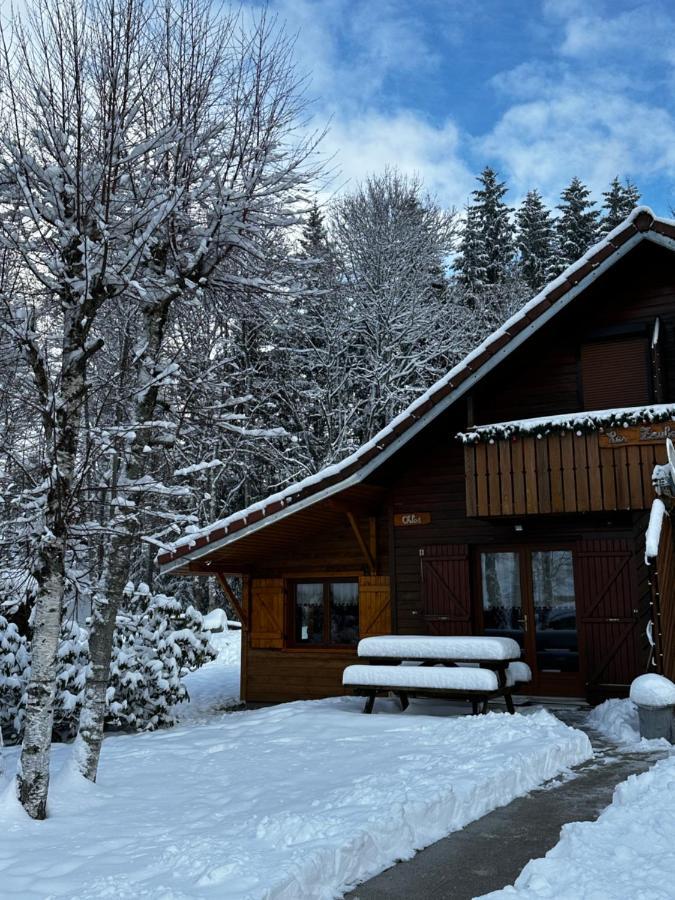 Chalet Chloe - Wifi, Bbq, Parking Xonrupt-Longemer Exterior foto