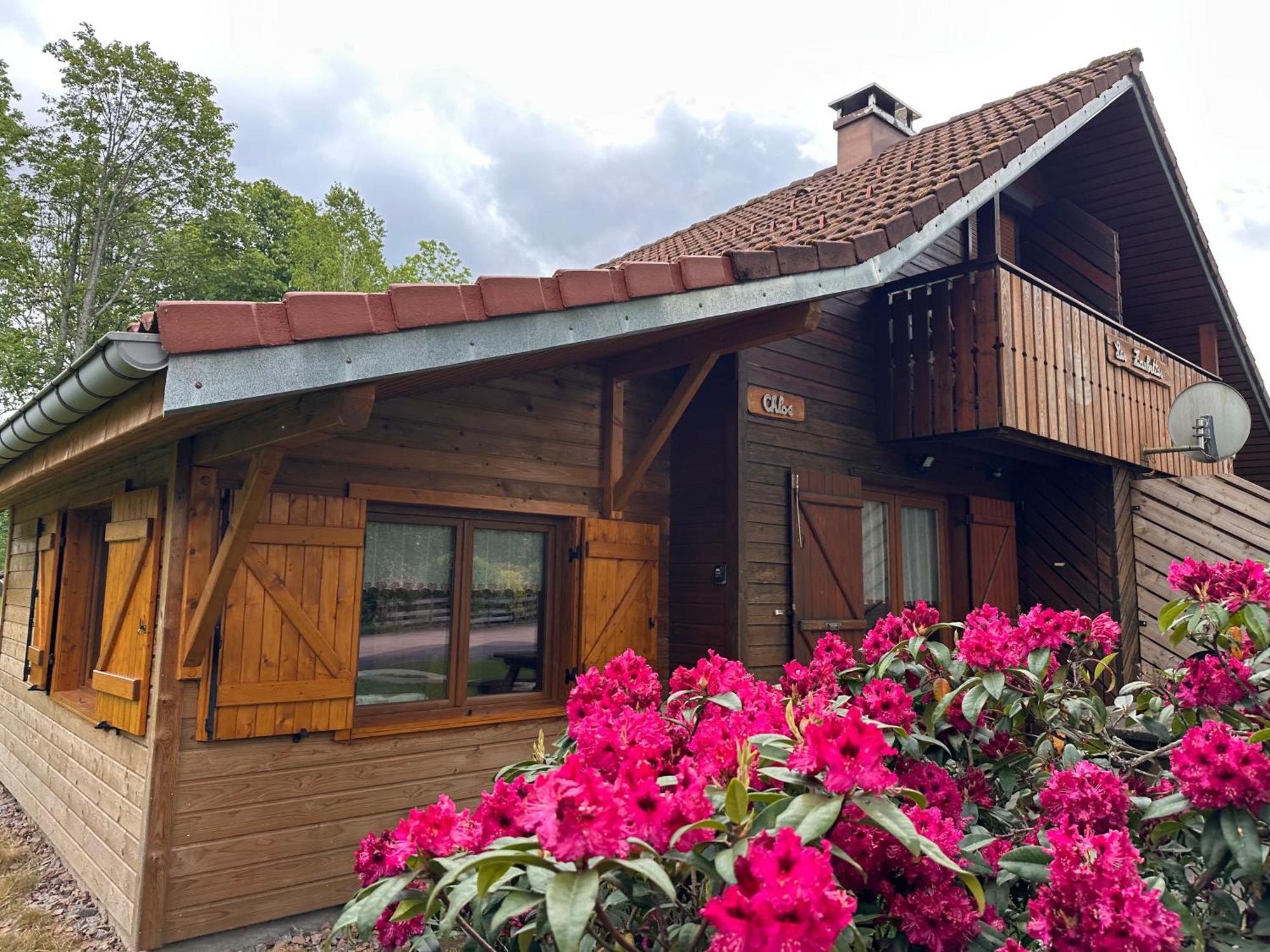 Chalet Chloe - Wifi, Bbq, Parking Xonrupt-Longemer Exterior foto